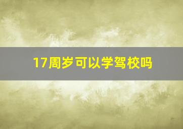 17周岁可以学驾校吗