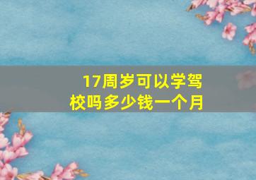 17周岁可以学驾校吗多少钱一个月