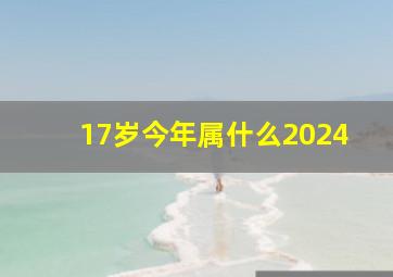 17岁今年属什么2024