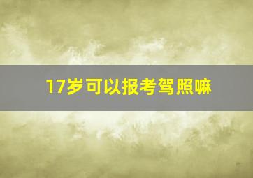 17岁可以报考驾照嘛