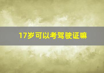 17岁可以考驾驶证嘛