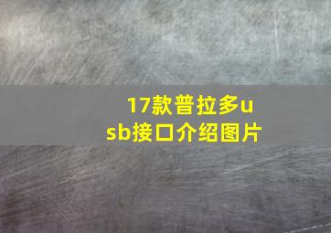 17款普拉多usb接口介绍图片