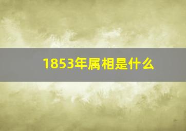 1853年属相是什么