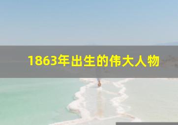 1863年出生的伟大人物