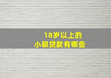 18岁以上的小额贷款有哪些