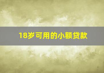 18岁可用的小额贷款