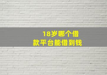 18岁哪个借款平台能借到钱