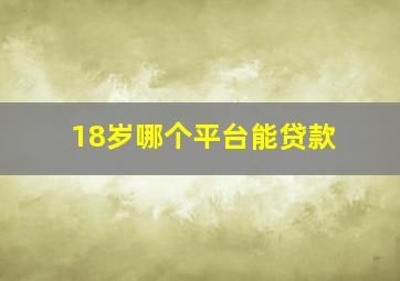 18岁哪个平台能贷款