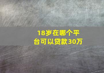 18岁在哪个平台可以贷款30万