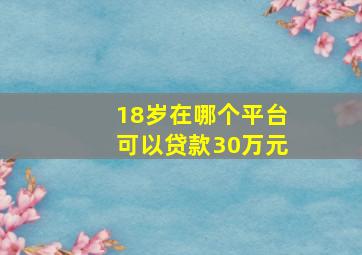 18岁在哪个平台可以贷款30万元