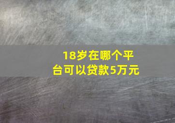 18岁在哪个平台可以贷款5万元