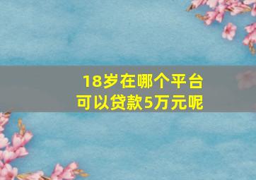 18岁在哪个平台可以贷款5万元呢