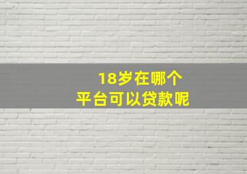 18岁在哪个平台可以贷款呢