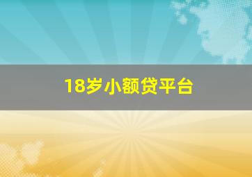 18岁小额贷平台