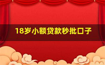 18岁小额贷款秒批口子