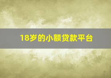 18岁的小额贷款平台