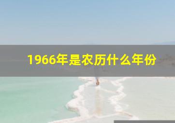 1966年是农历什么年份