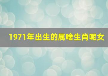 1971年出生的属啥生肖呢女