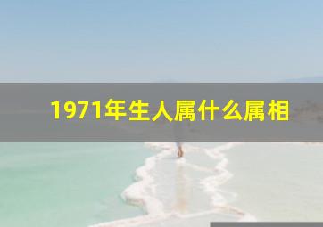 1971年生人属什么属相