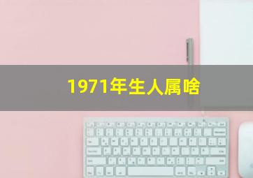 1971年生人属啥