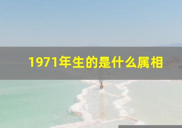 1971年生的是什么属相