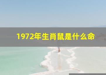 1972年生肖鼠是什么命