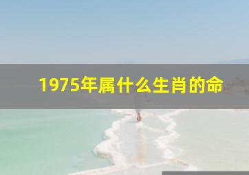 1975年属什么生肖的命