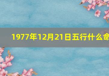 1977年12月21日五行什么命