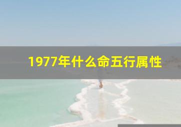 1977年什么命五行属性