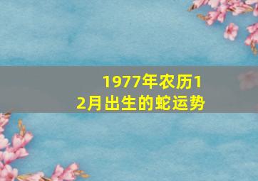 1977年农历12月出生的蛇运势