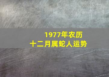 1977年农历十二月属蛇人运势