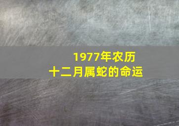 1977年农历十二月属蛇的命运