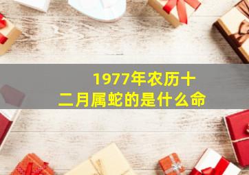 1977年农历十二月属蛇的是什么命