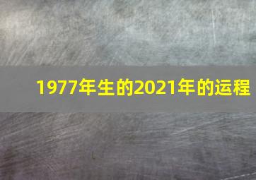 1977年生的2021年的运程