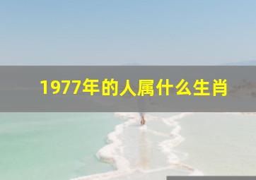 1977年的人属什么生肖