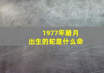 1977年腊月出生的蛇是什么命