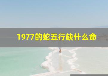 1977的蛇五行缺什么命