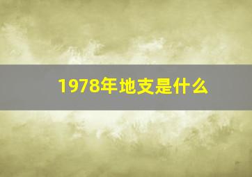 1978年地支是什么