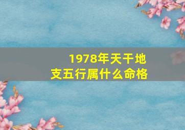 1978年天干地支五行属什么命格