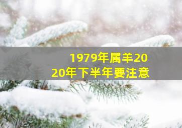 1979年属羊2020年下半年要注意