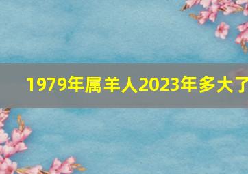 1979年属羊人2023年多大了