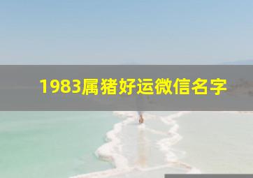 1983属猪好运微信名字