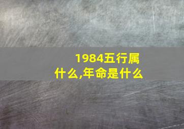 1984五行属什么,年命是什么