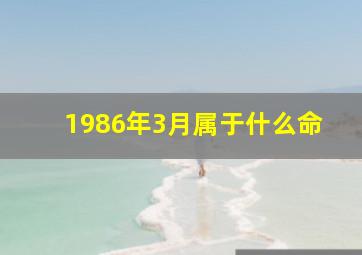 1986年3月属于什么命