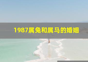 1987属兔和属马的婚姻