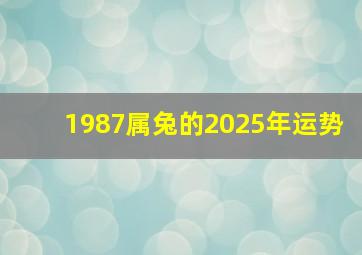 1987属兔的2025年运势