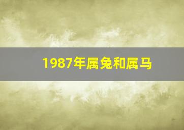 1987年属兔和属马