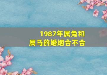 1987年属兔和属马的婚姻合不合