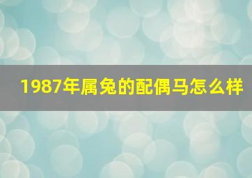 1987年属兔的配偶马怎么样