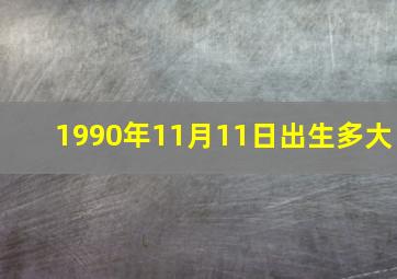 1990年11月11日出生多大